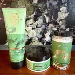NEW 3-Pc Eucalyptus + Spearmint Body Cream, Body Butter, and Shower Steamers BBW